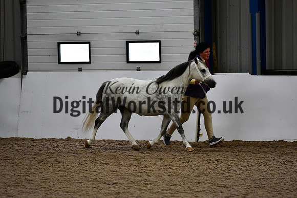 NECWPCA-SUMMER-WELSH-SILVER-MEDAL-SHOW (24 of 412)