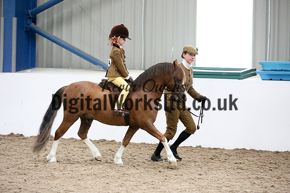 NECWPCA-SUMMER-WELSH-SILVER-MEDAL-SHOW (92 of 325)