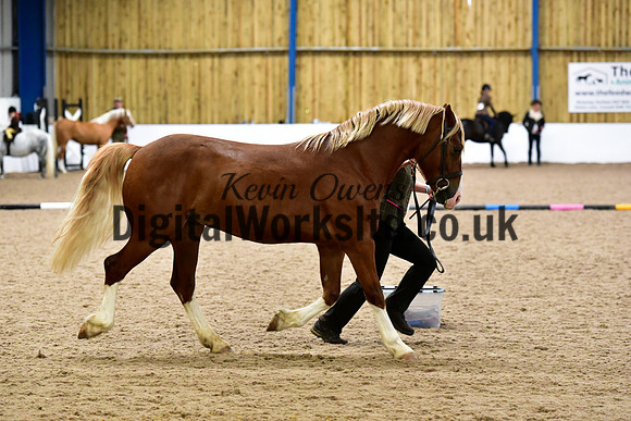 NECWPCA-SUMMER-WELSH-SILVER-MEDAL-SHOW (5 of 46)