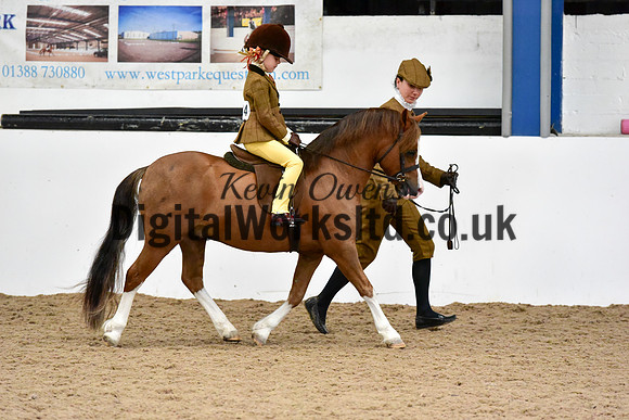 NECWPCA-SUMMER-WELSH-SILVER-MEDAL-SHOW (10 of 120)