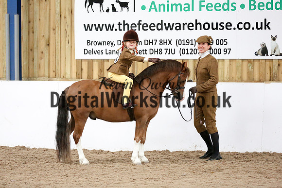 NECWPCA-SUMMER-WELSH-SILVER-MEDAL-SHOW (108 of 325)