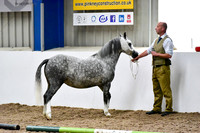 NECWPCA-SUMMER-WELSH-SILVER-MEDAL-SHOW (4 of 412)