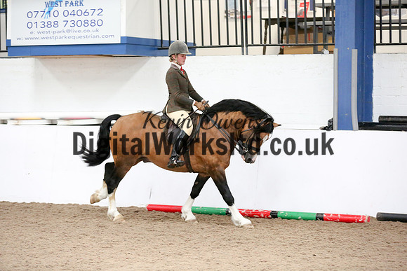 NECWPCA-SUMMER-WELSH-SILVER-MEDAL-SHOW (271 of 315)
