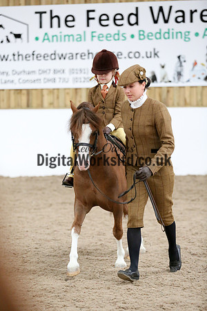 NECWPCA-SUMMER-WELSH-SILVER-MEDAL-SHOW (107 of 325)