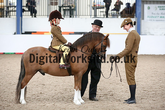 NECWPCA-SUMMER-WELSH-SILVER-MEDAL-SHOW (105 of 325)