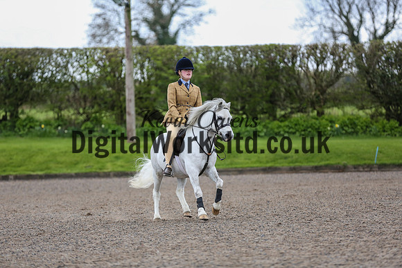 BDH-Point-to-Point-166