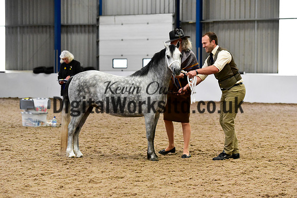NECWPCA-SUMMER-WELSH-SILVER-MEDAL-SHOW (4 of 427)