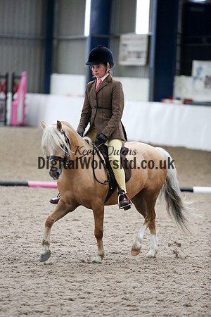 NECWPCA-SUMMER-WELSH-SILVER-MEDAL-SHOW (36 of 325)