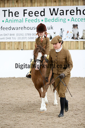 NECWPCA-SUMMER-WELSH-SILVER-MEDAL-SHOW (106 of 325)