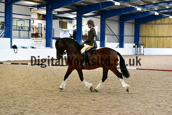 NECWPCA-SUMMER-WELSH-SILVER-MEDAL-SHOW (151 of 325)