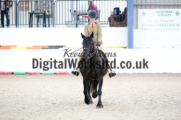 NECWPCA-SUMMER-WELSH-SILVER-MEDAL-SHOW (16 of 135)