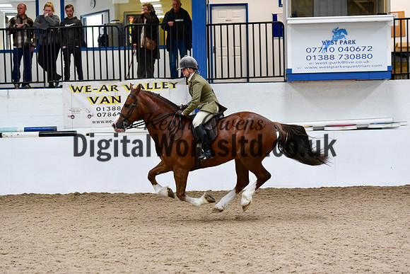 NECWPCA-SUMMER-WELSH-SILVER-MEDAL-SHOW (2 of 100)