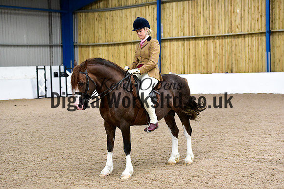 NECWPCA-SUMMER-WELSH-SILVER-MEDAL-SHOW (46 of 92)