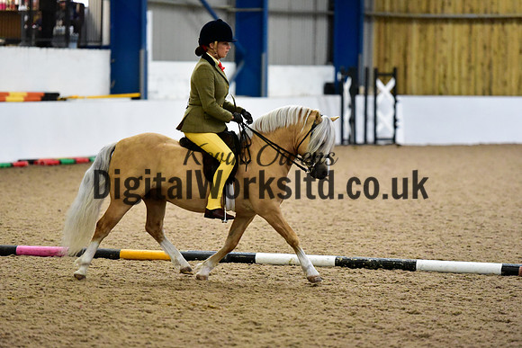 NECWPCA-SUMMER-WELSH-SILVER-MEDAL-SHOW (75 of 325)