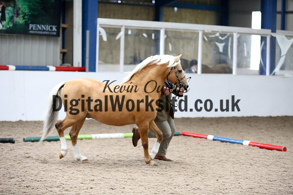 NECWPCA-SUMMER-WELSH-SILVER-MEDAL-SHOW (4 of 305)