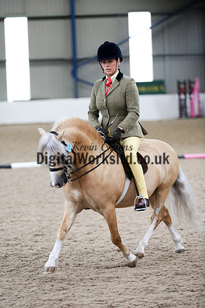 NECWPCA-SUMMER-WELSH-SILVER-MEDAL-SHOW (193 of 315)
