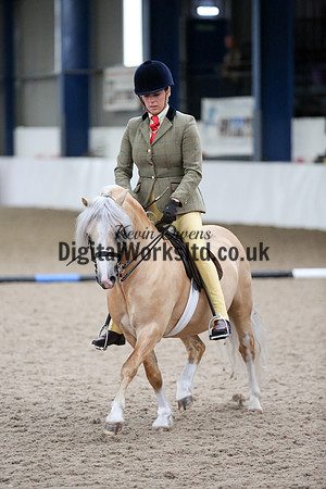NECWPCA-SUMMER-WELSH-SILVER-MEDAL-SHOW (190 of 315)