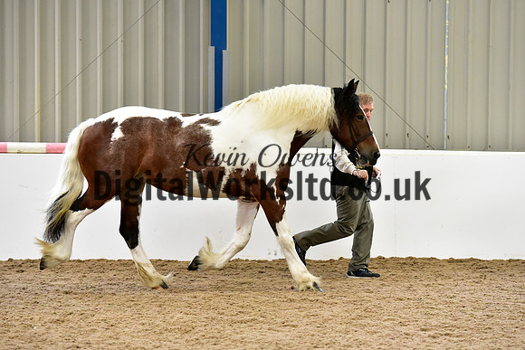 NECWPCA-SUMMER-WELSH-SILVER-MEDAL-SHOW (5 of 91)
