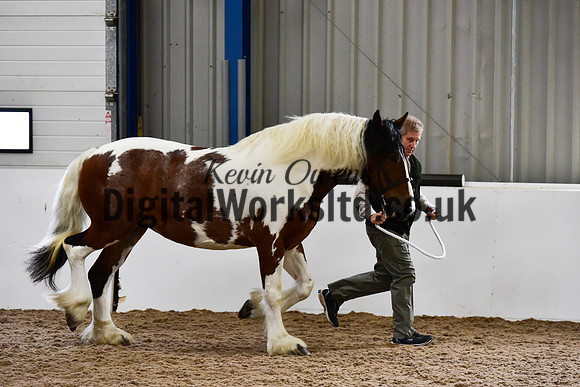 NECWPCA-SUMMER-WELSH-SILVER-MEDAL-SHOW (21 of 150)