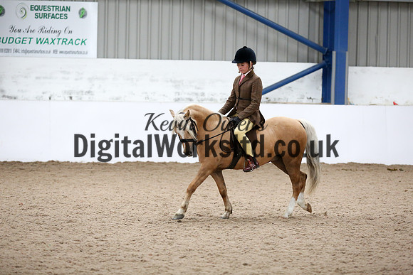 NECWPCA-SUMMER-WELSH-SILVER-MEDAL-SHOW (45 of 325)