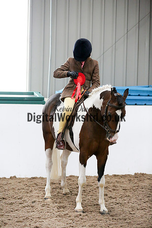 NECWPCA-SUMMER-WELSH-SILVER-MEDAL-SHOW (8 of 419)