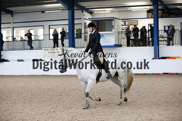 NECWPCA-SUMMER-WELSH-SILVER-MEDAL-SHOW (58 of 315)