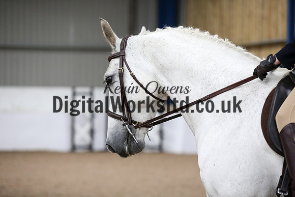 NECWPCA-SUMMER-WELSH-SILVER-MEDAL-SHOW (37 of 315)