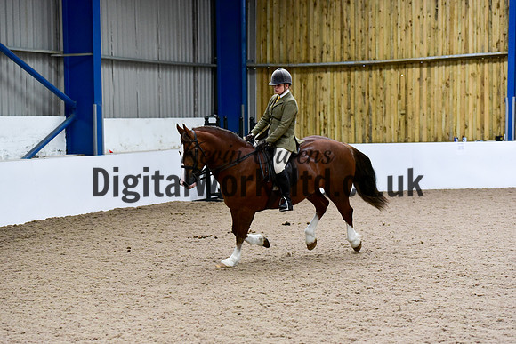 NECWPCA-SUMMER-WELSH-SILVER-MEDAL-SHOW (1 of 100)
