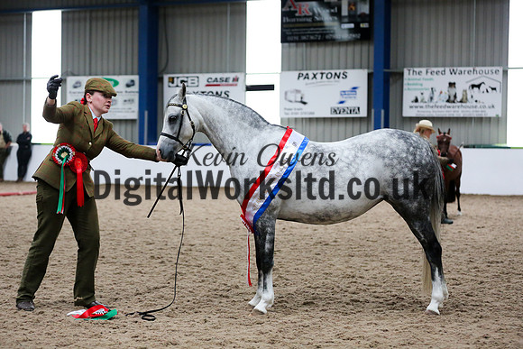 NECWPCA-SUMMER-WELSH-SILVER-MEDAL-SHOW (3 of 159)