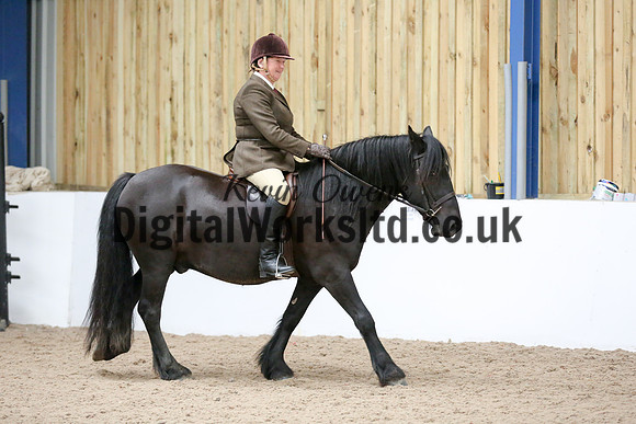NECWPCA-SUMMER-WELSH-SILVER-MEDAL-SHOW (26 of 419)