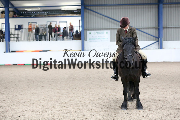NECWPCA-SUMMER-WELSH-SILVER-MEDAL-SHOW (48 of 419)
