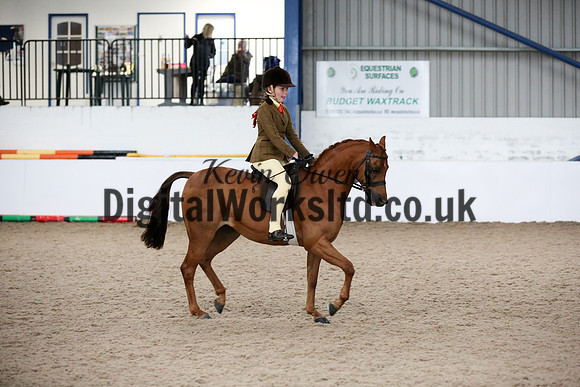 NECWPCA-SUMMER-WELSH-SILVER-MEDAL-SHOW (73 of 325)