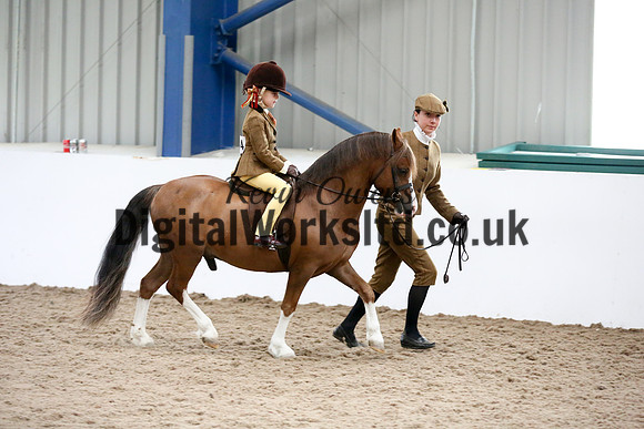 NECWPCA-SUMMER-WELSH-SILVER-MEDAL-SHOW (91 of 325)