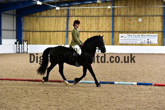 NECWPCA-SUMMER-WELSH-SILVER-MEDAL-SHOW (43 of 315)