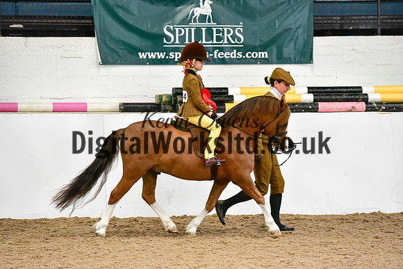 NECWPCA-SUMMER-WELSH-SILVER-MEDAL-SHOW (30 of 419)