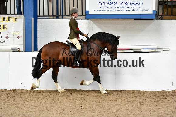 NECWPCA-SUMMER-WELSH-SILVER-MEDAL-SHOW (66 of 92)