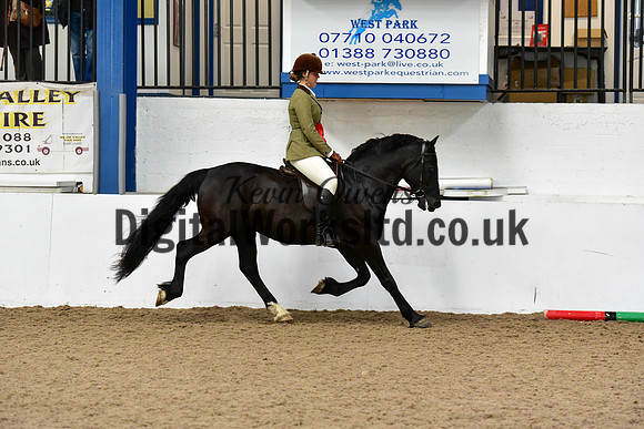 NECWPCA-SUMMER-WELSH-SILVER-MEDAL-SHOW (65 of 92)