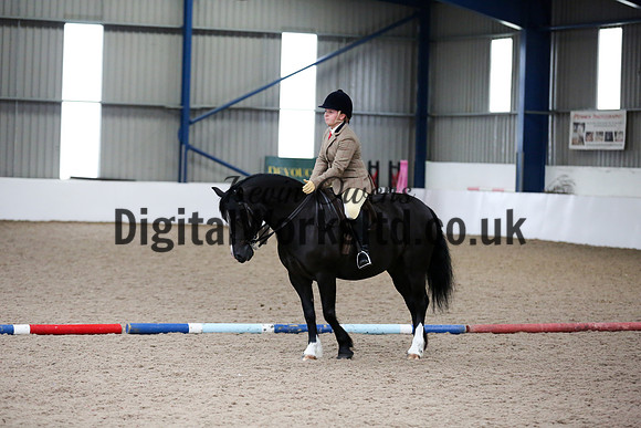 NECWPCA-SUMMER-WELSH-SILVER-MEDAL-SHOW (315 of 315)