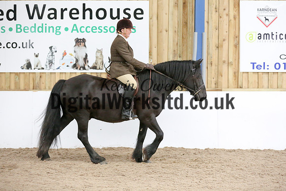 NECWPCA-SUMMER-WELSH-SILVER-MEDAL-SHOW (27 of 419)