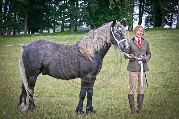 10am-11am-26