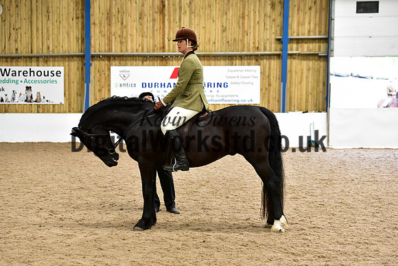 NECWPCA-SUMMER-WELSH-SILVER-MEDAL-SHOW (41 of 92)