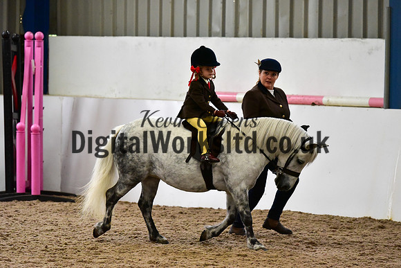 NECWPCA-SUMMER-WELSH-SILVER-MEDAL-SHOW (1 of 135)