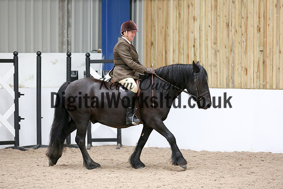 NECWPCA-SUMMER-WELSH-SILVER-MEDAL-SHOW (7 of 334)