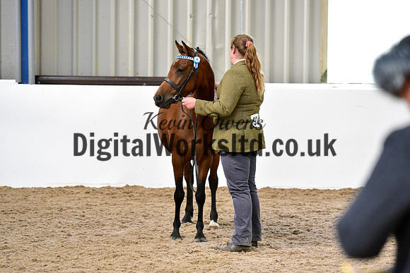NECWPCA-SUMMER-WELSH-SILVER-MEDAL-SHOW (2 of 104)