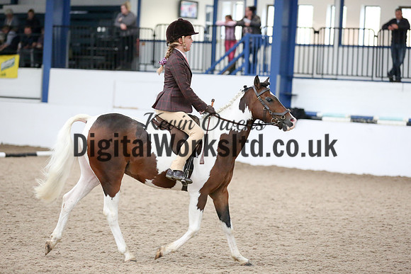 NECWPCA-SUMMER-WELSH-SILVER-MEDAL-SHOW (74 of 419)