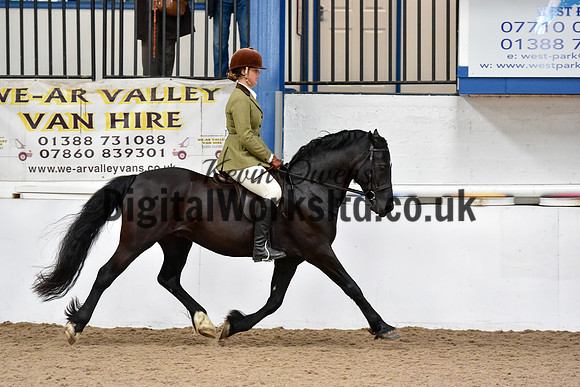 NECWPCA-SUMMER-WELSH-SILVER-MEDAL-SHOW (45 of 92)