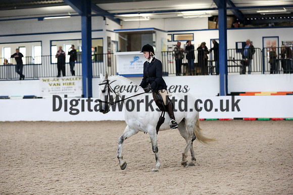NECWPCA-SUMMER-WELSH-SILVER-MEDAL-SHOW (57 of 315)