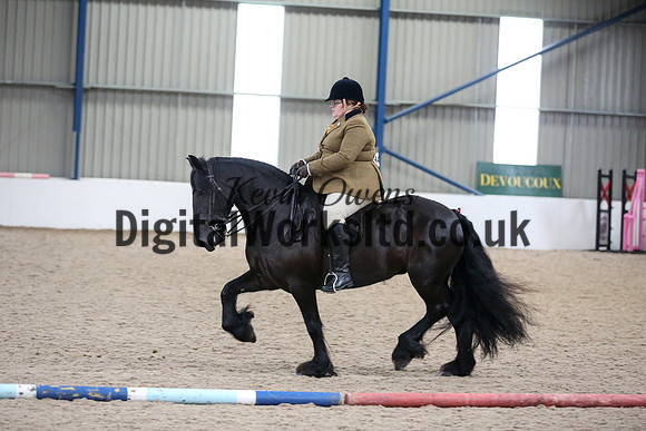 NECWPCA-SUMMER-WELSH-SILVER-MEDAL-SHOW (119 of 325)