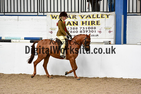 NECWPCA-SUMMER-WELSH-SILVER-MEDAL-SHOW (63 of 92)