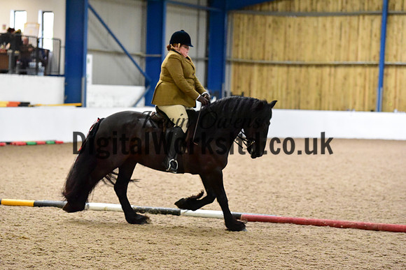 NECWPCA-SUMMER-WELSH-SILVER-MEDAL-SHOW (139 of 325)
